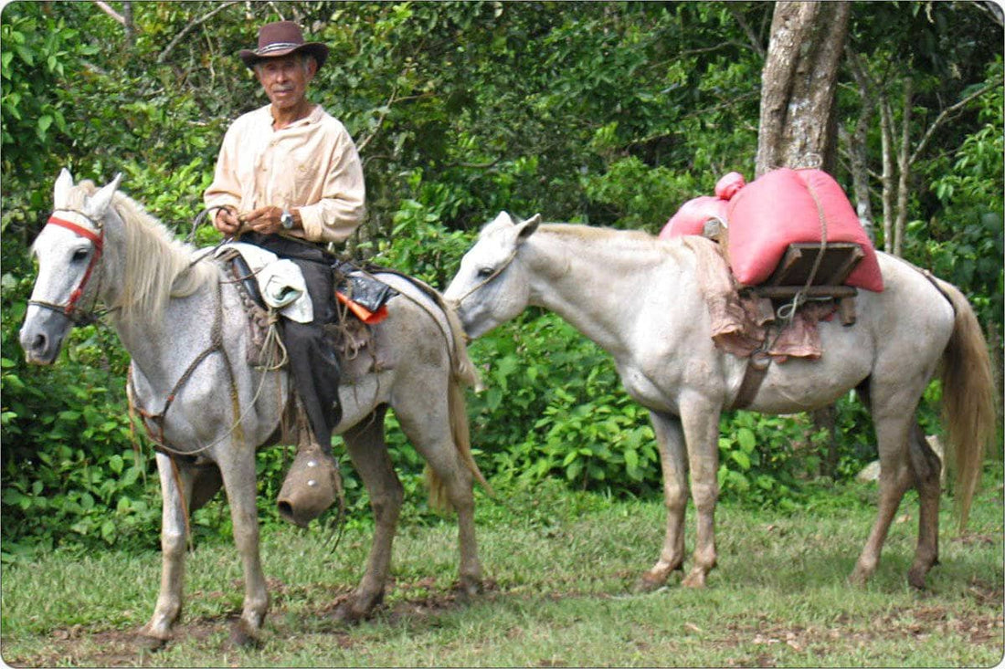 Nicaragua "Miraflor"