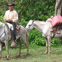 Nicaragua "Miraflor"