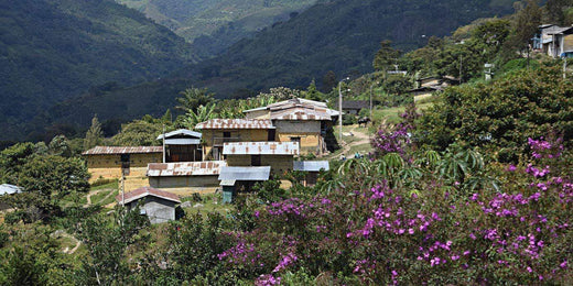 Cafe Femenino Peru origin trip - Coffee community of San Antonio