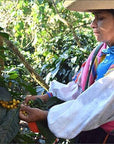 Peru "Café Femenino"