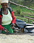 Rwanda "Sholi"