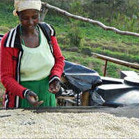 Rwanda "Sholi" Microlot